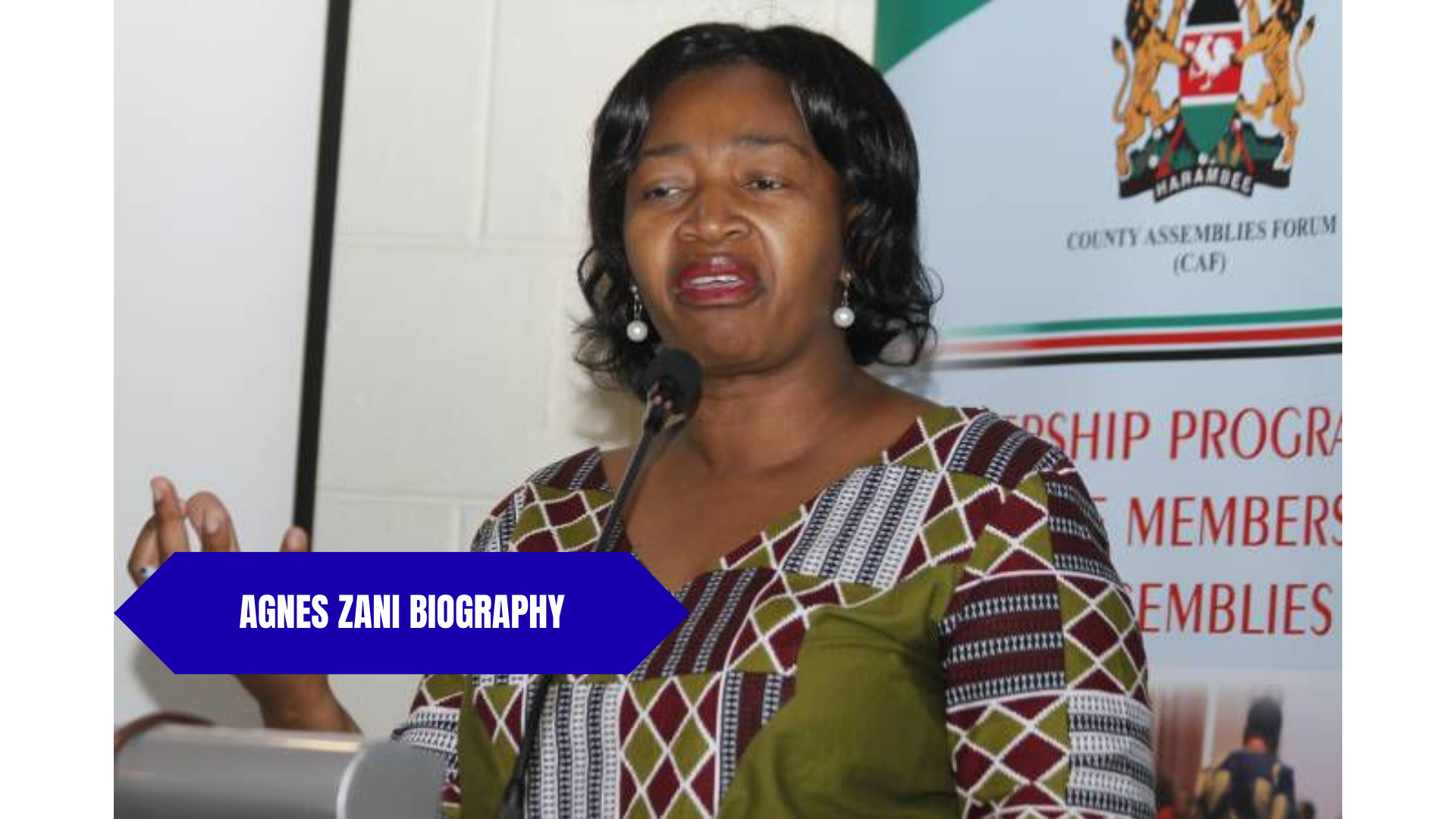 Agnes Zani Biography: Politics, Husband, Tribe, Education